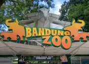 Putusan Kasus Bandung Zoo: Dua Terdakwa Korupsi Terima Hukuman Penjara dan Denda Miliaran