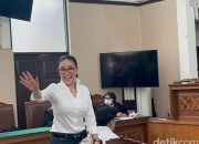 Siap Lakukan Gugatan Balik, Nikita Klaim Alami Kerugian Besar