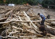 Langgar Aturan Lingkungan, Izin 28 Perusahaan di Sumatra Dicabut