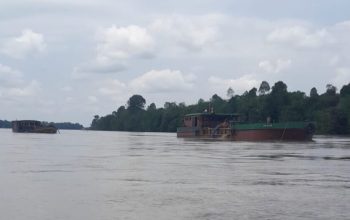 Aktivitas tongkang di sungai kawasan Teluk Belitung,Barito Selatan.