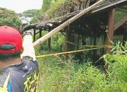 Tragisnya Akhir Persahabatan Remaja: Sakit Hati Berujung Pembunuhan di Eks Kampung Gajah