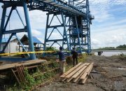 KLH Tindak Dua Perusahaan Diduga Cemari Sungai Mahakam, Populasi Pesut Menurun