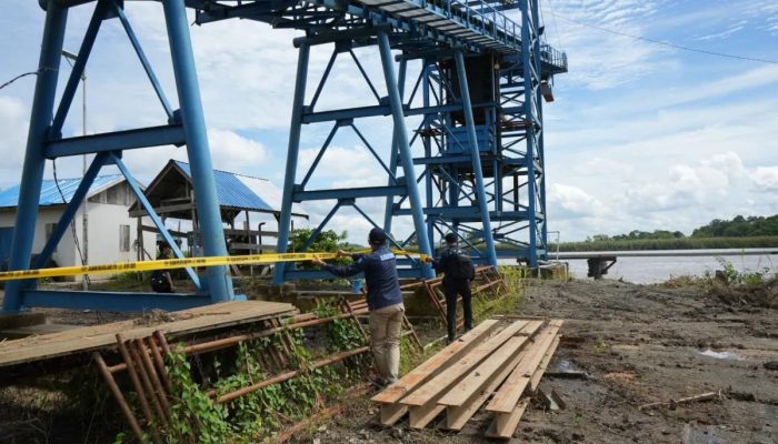 KLH Tindak Dua Perusahaan Diduga Cemari Sungai Mahakam, Populasi Pesut Menurun