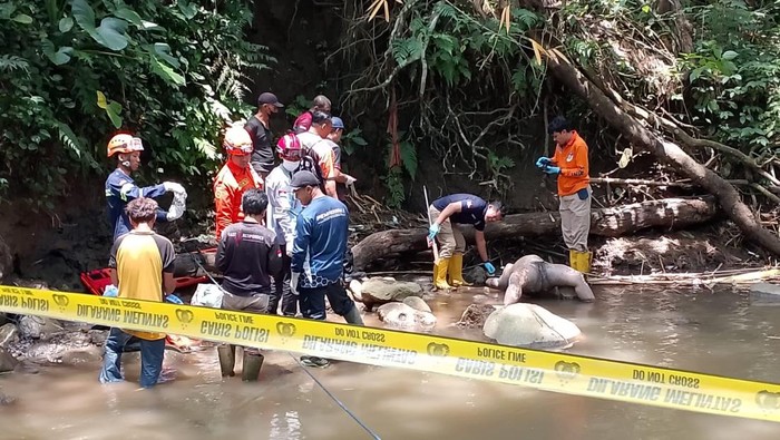 Petugas kepolisian dan tim evakuasi mengevakuasi jasad perempuan yang ditemukan dalam kondisi tangan terikat di Sungai Jilu, Kecamatan Jabung, Kabupaten Malang.