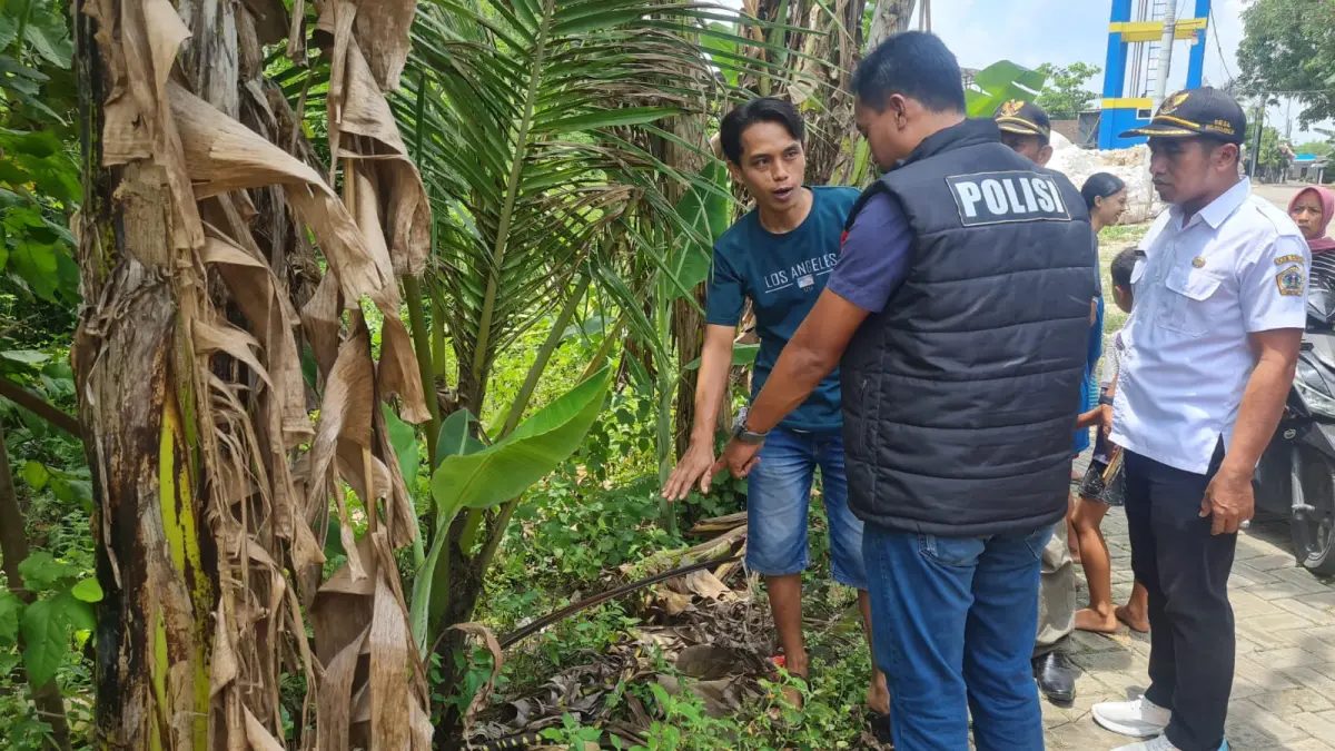 Petugas kepolisian melakukan olah tempat kejadian perkara (TKP) di lokasi penemuan jasad bayi laki-laki di Desa Mojosarirejo, Kecamatan Driyorejo, Gresik.
