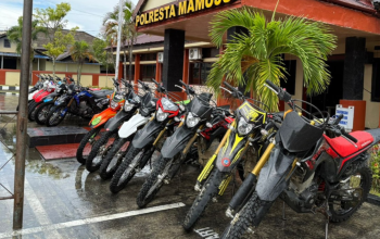 Puluhan unit sepeda motor trail hasil curian yang diamankan polisi ditampilkan di halaman Mapolresta Mamuju, Sulawesi Barat.