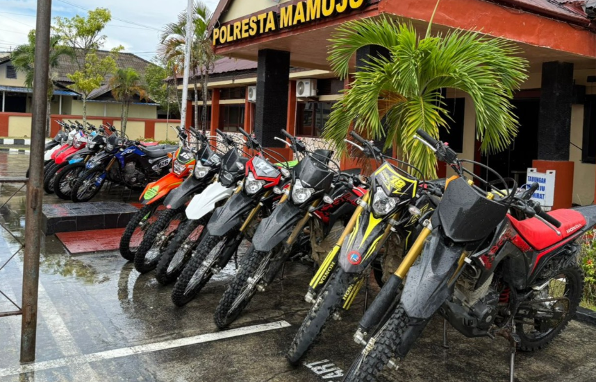 Puluhan unit sepeda motor trail hasil curian yang diamankan polisi ditampilkan di halaman Mapolresta Mamuju, Sulawesi Barat.