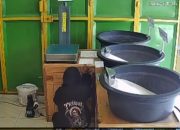 Gagal Mencuri di Tasikmalaya, Perempuan Ini Berbuat Tak Senonoh di Tengah Jalan.