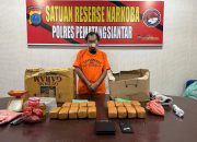 Polres Pematangsiantar Ungkap Peredaran Ganja 7 Kg, Satu Tersangka Ditangkap