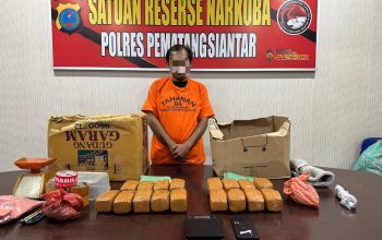 Polres Pematangsiantar Ungkap Peredaran Ganja 7 Kg, Satu Tersangka Ditangkap