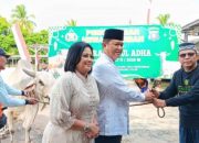 Berbagi Berkah Idul Adha 1447 Hijriah, Polda Kalteng Salurkan 246 Hewan Kurban untuk Masyarakat dan Personel