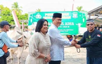 Berbagi Berkah Idul Adha 1447 Hijriah, Polda Kalteng Salurkan 246 Hewan Kurban untuk Masyarakat dan Personel