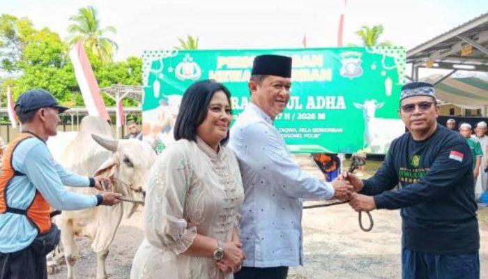 Berbagi Berkah Idul Adha 1447 Hijriah, Polda Kalteng Salurkan 246 Hewan Kurban untuk Masyarakat dan Personel